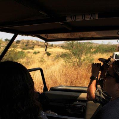 Full Day Pilanesberg Experience in Open Vehicle
