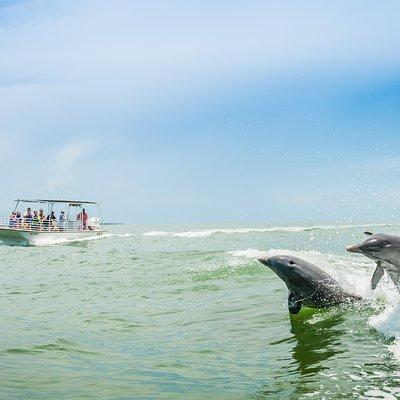 Marco Island Dolphin Sightseeing Tour