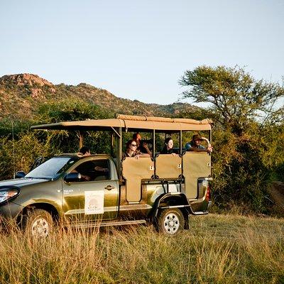 Full Day Ultimate Pilanesberg National Park Safari from Johannesburg or Pretoria