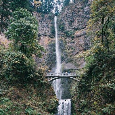 Afternoon Half-Day Multnomah Falls and Columbia River Gorge Waterfalls Tour from Portland