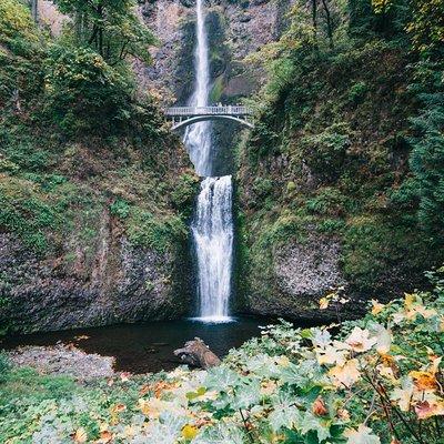 Waterfalls, Mt Hood, and Wine Tour (Tasting Fees Included)