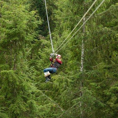Rainforest Zip, Skybridge & Rappel Adventure in Ketchikan, AK