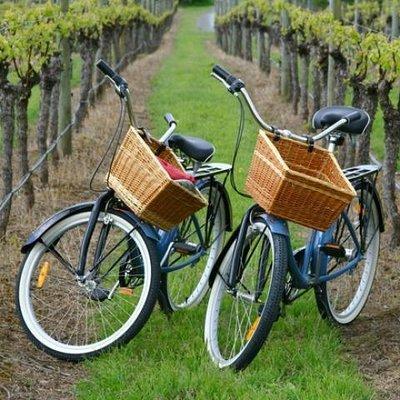 Mattituck New York Guided Farm and Wine Country Bike Tour