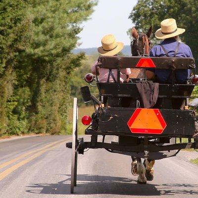 Premium Amish Country Tour including Amish Farm and House