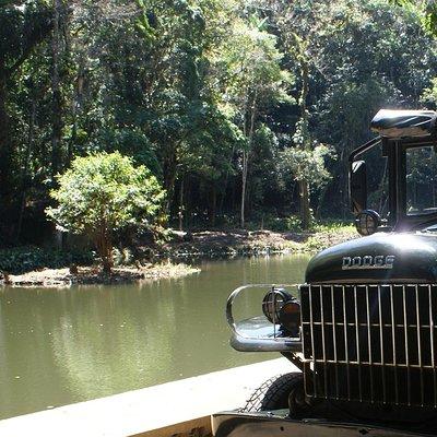Guided Jeep adventure through Tijuca Rain Forest