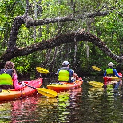 Amelia Island Guided Kayak Tour of Lofton Creek 