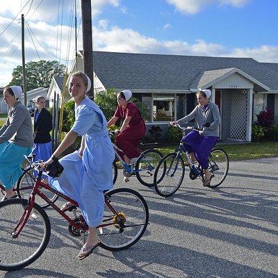 Amish Experience: Bridges to Understanding
