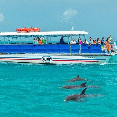 Key West Dolphin Watch and Snorkel Cruise