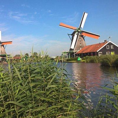 Zaanse Schans Windmills, Clogs and Dutch Cheese Small-Group Tour from Amsterdam 