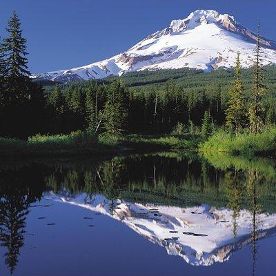 Columbia River Gorge Waterfalls & Mt Hood Tour from Portland, OR