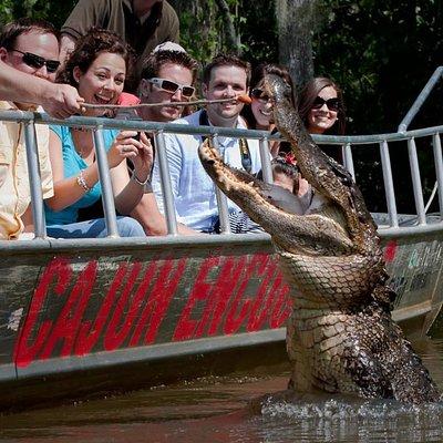 New Orleans Swamp and Bayou Boat Tour with Transportation