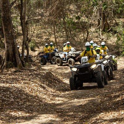Jungle double ATV Tour "El Mirador" (ride tandem on ATV)