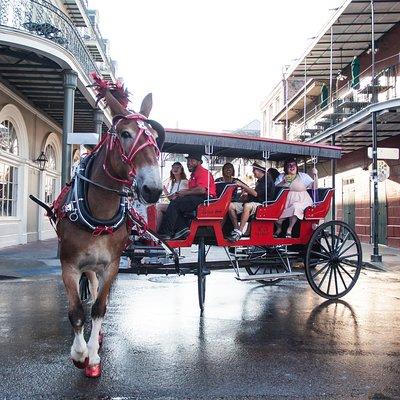 New Orleans French Quarter & Marigny Neighborhood Carriage Ride 