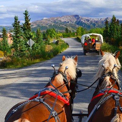 Horse-Drawn Covered Wagon Ride with Backcountry Dining
