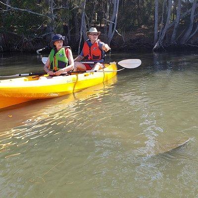 Manatee and Dolphin Kayaking | Haulover Canal (Titusville)