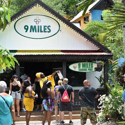 Bob Marley's Nine Mile Admission and Guided Tour from Montego Bay