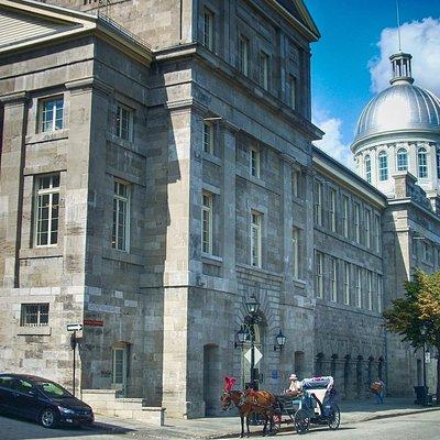 Montreal: Private Tour with a Local Guide