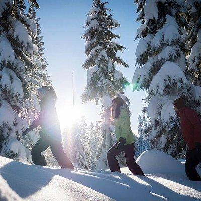 Whistler Snowshoeing Adventure 