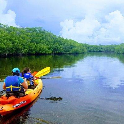 Explore Mangrove Creeks with an All Day SUP/single kayak Rental