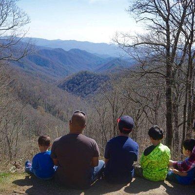 Smoky Mountain Guided Scenic High Van Tour