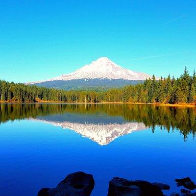 Columbia Gorge Waterfalls and Mt. Hood Tour - Full Day