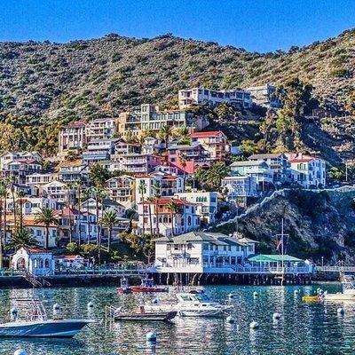 Discover Avalon: Catalina Scenic Tour