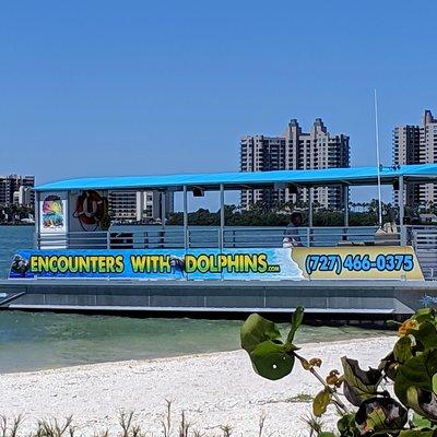 Clearwater Encounters with Dolphins Tour