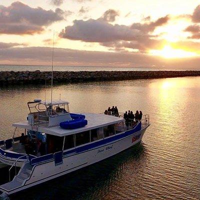 Luxury Catamaran Sunset and Wine Cruise from Dana Point