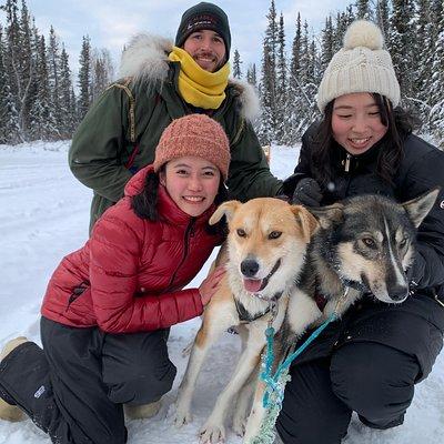 Dog Sledding and Mushing Experience in North Pole