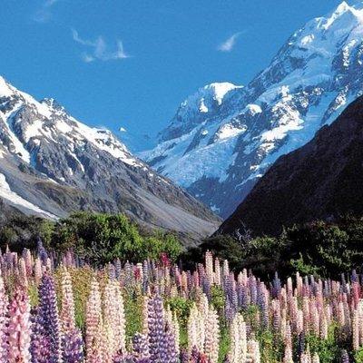 5-Day South Island Tour from Christchurch