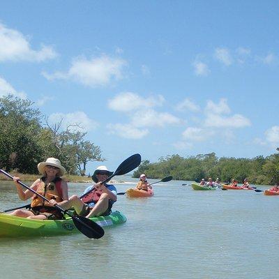 Guided Kayak Eco Tour - Bunche Beach