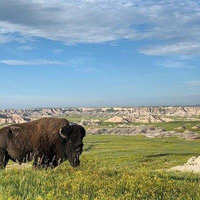 Private Badlands National Park Day Tour 