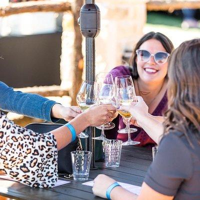 Half-Day Guided Tour of North Texas Wineries and Vineyards with Wine Tastings