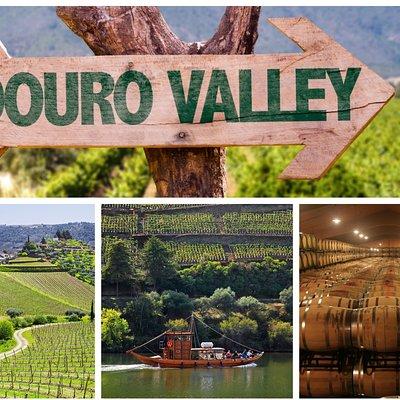 Douro Valley Tour: Wine Tasting, Cruise and Lunch from Porto 