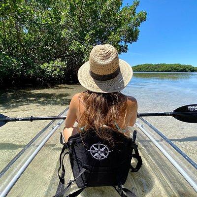 Clear Kayak Tour of Shell Key Preserve and Tampa Bay Area