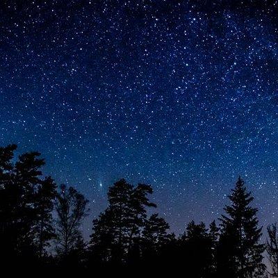 Stargazing in Sequoia National Park