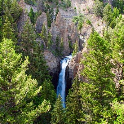 Yellowstone Full Day Private Tour