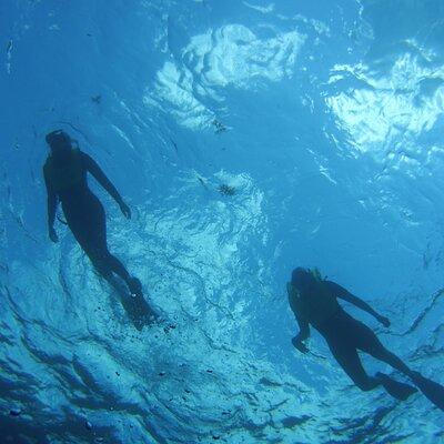 Private Snorkel Charter to the Key Largo Reef for Group up to 10