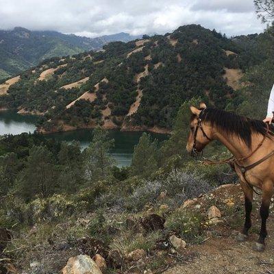 Sonoma Horseback-Riding Tour