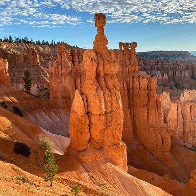 Bryce Canyon National Park: Private Guided Hike & Picnic