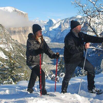 Private Guided Snowshoe Hike in Yosemite