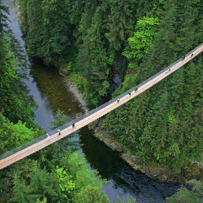 Vancouver City Sightseeing Tour: Capilano Suspension Bridge & Vancouver Lookout