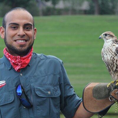 Colorado Springs Hands-On Falconry Class and Demonstration