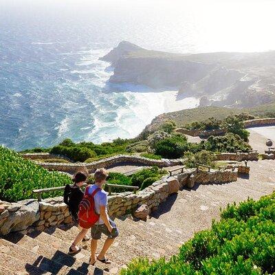 Cape Point and Boulder's Penguins Full Day Tour