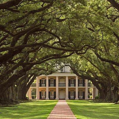 Swamp Boat Ride and Oak Alley Plantation Tour from New Orleans