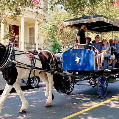 Charleston Horse & Carriage Historic Sightseeing Tour