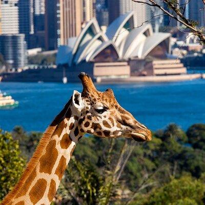 Sydney Taronga Zoo General Entry Ticket