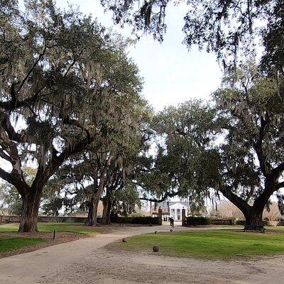 Day Trips to Charleston#7 See Ft Sumter,CarriageTour,Lunch & more