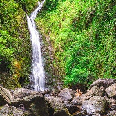 Hike Trail to Waterfall & Nature Walk