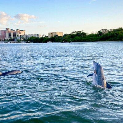 Dolphin Tiki Cruise around Fort Myers Beach